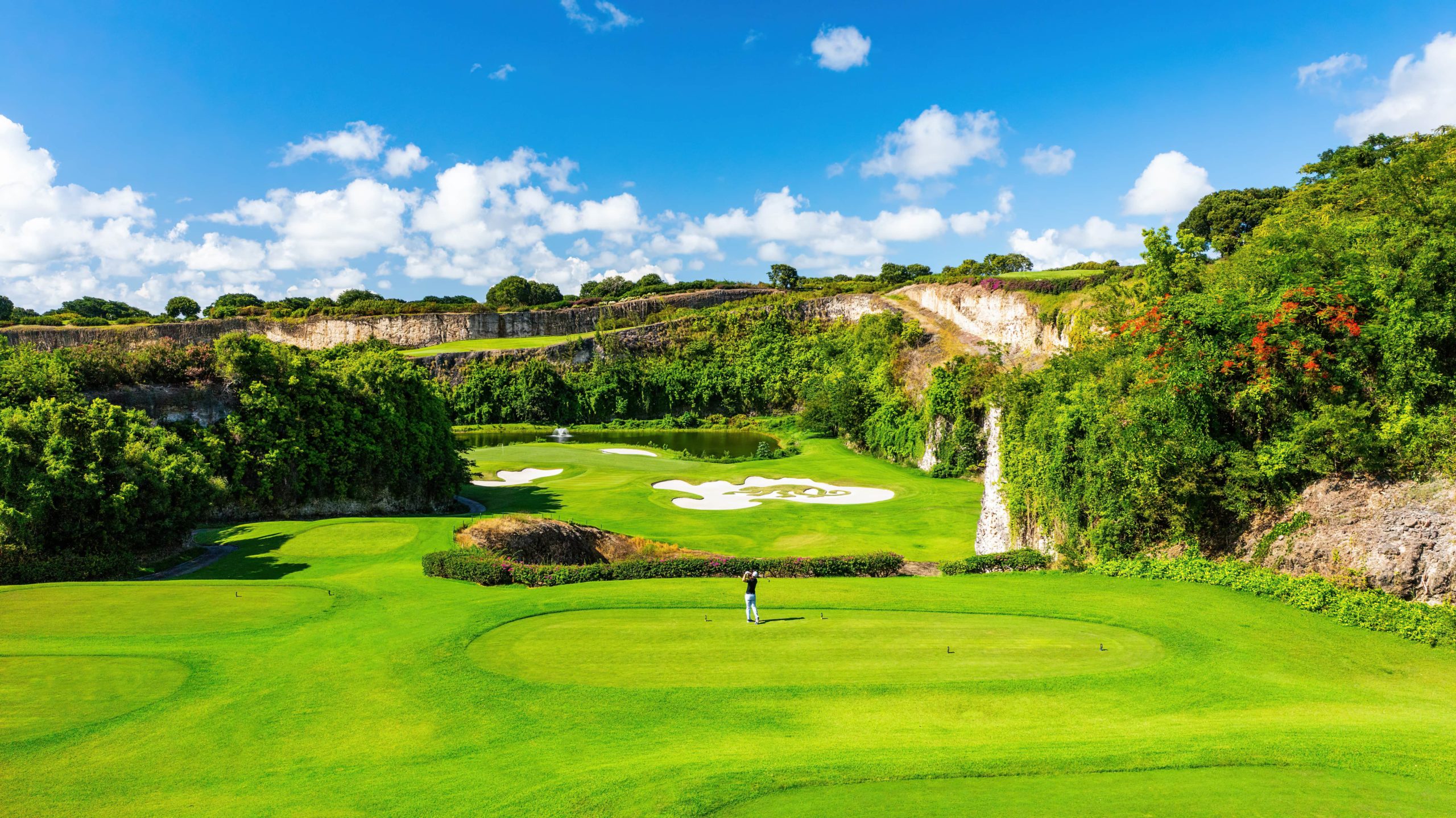 Green Monkey Golf, Sandy Lane, Barbados